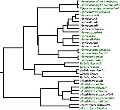 Venom-Induced Blood Disturbances by Palearctic Viperid Snakes, and Their Relative Neutralization by Antivenoms and Enzyme-Inhibitors